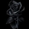 ilham998811
