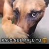 qwexp.we