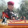 nassifalbayati1