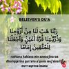 sharifaabu8