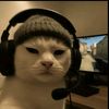 abstraklol