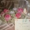 cattleya_605