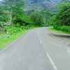 mas_firman_