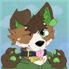 corgo4048