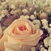 ghrob.abaya