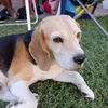 mateoffgv