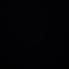danwin12