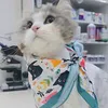 saharadnan369