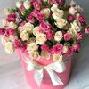 user5338070371166