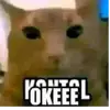 𝙎𝙐𝙋𝙀𝙍𝙈𝙊𝙉𝙉𝙉