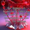 user4583182458026