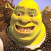 .shreck89