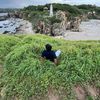 chelelo_17_06