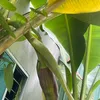 dyton7qiucsl