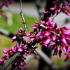 breenda_l_