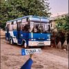 tunar___313