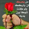 iraqianwar8
