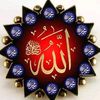 m.zain319