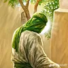 ali_999005