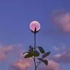 ali022430