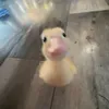 shenggg000