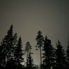 ipukeg1itter.org