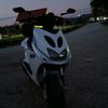 elman_cajlak