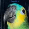 rawa2012_