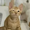 alexbro_777