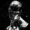 nichefruitsilversurfer