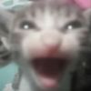 cutemarshmallow108