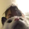 theonlyimportantfreya