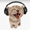 avatar_word_1356