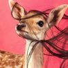 alshikha_11