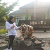 miaa_612