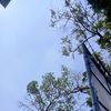 cutelo105
