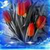 user9337198715473