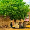 abduljalilabbas