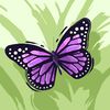 hajer.ghrissi5