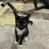 zzuuuupppp