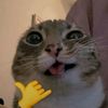 dnightmaresvp