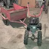 krolymagyari