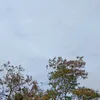 indaahmryntii_
