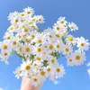 thuha_pytn