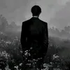a5_lva
