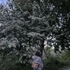 fibi_25