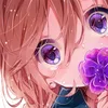soffee01