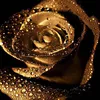 golden_trio_05