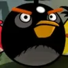 memes_po
