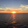 政治が面白い